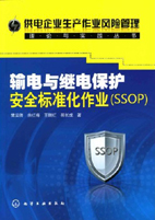输电与继电保护安全标准化作业(SSOP) 供电企业生产作业风险管理理论与实践丛书