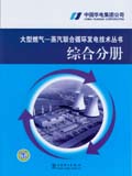 大型燃气—蒸汽联合循环发电技术丛书 综合分册