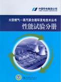 大型燃气—蒸汽联合循环发电技术丛书 性能试验分册